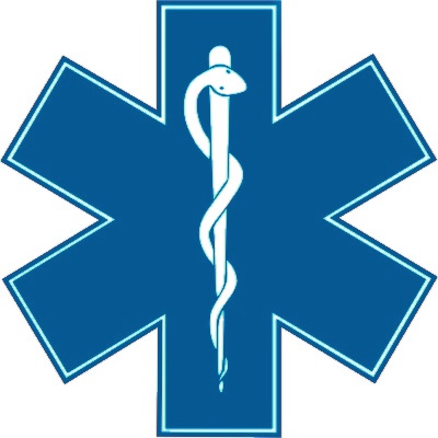 clickable health insurance icon
					consisting of an EMS logo